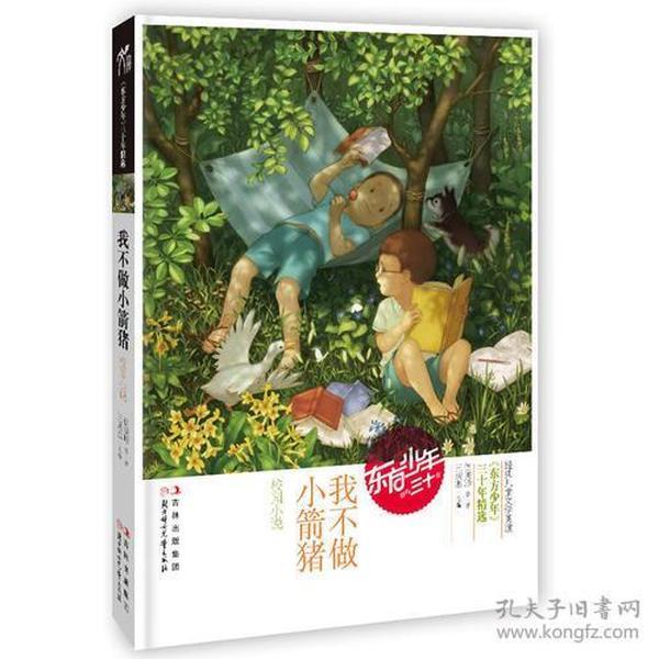 进击的飞机