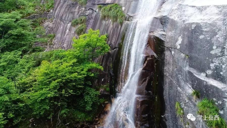 山珍年味“醉”乡愁，湖北通山首届年货节开幕